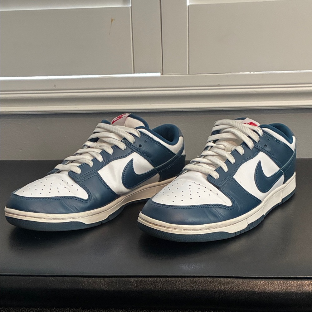 Nike Men's Navy and White Dunks